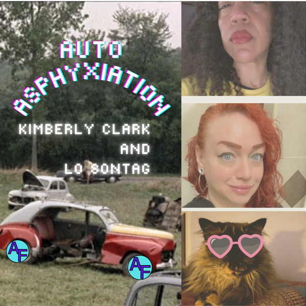Auto Asphyxiation, Episode Ten, the limits of separate spaces